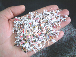 �A�_���g�V���b�v�̃Z�L�����e�B�[